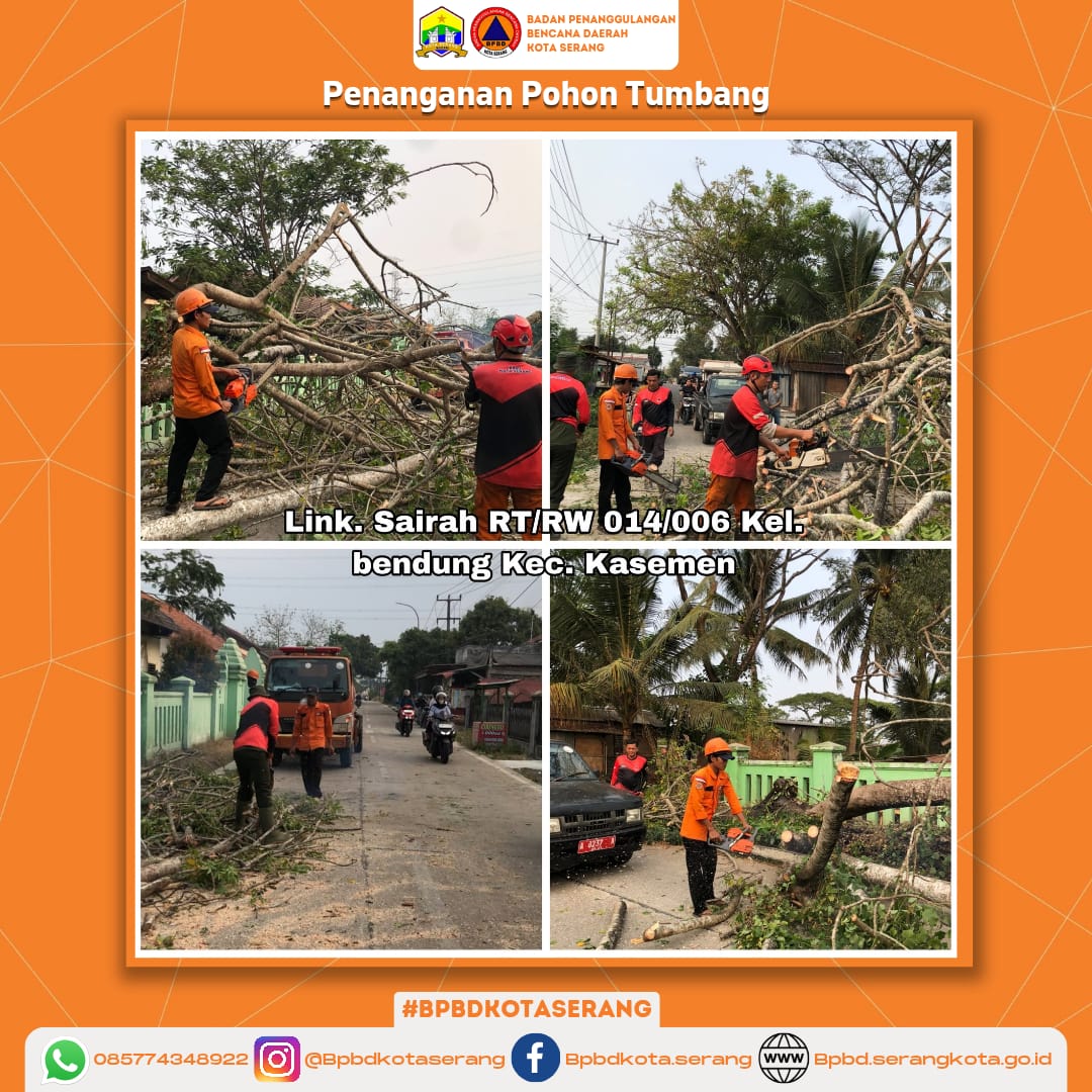 Penanganan Pohon Tumbang Yang Disebabkan Oleh Faktor Non Alam (Pohon Sudah Rapuh)